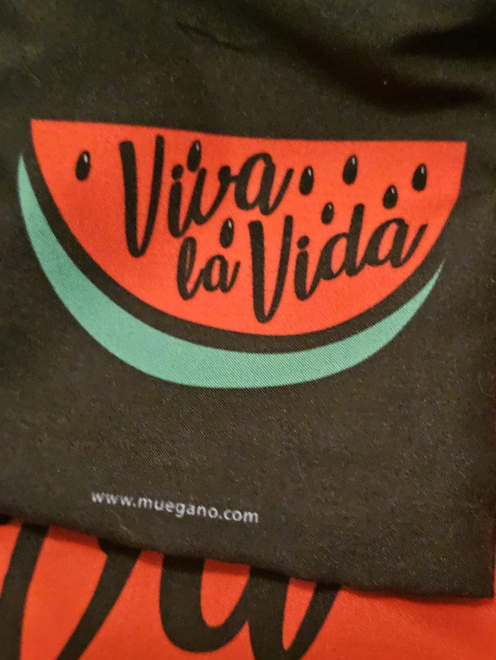 Viva La Vida Frida Kahlo Watermelon Tote Mexico Musuem Bag Nwt Rare